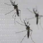 sus-suspende-uso-de-vacina-da-dengue-do-butantan-apos-reacoes-adversas