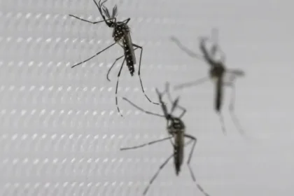 sus-suspende-uso-de-vacina-da-dengue-do-butantan-apos-reacoes-adversas