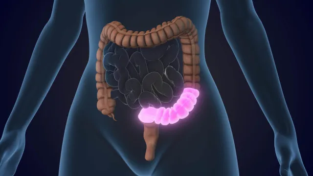 4-regras-obrigatorias-para-proteger-o-intestino-ao-tomar-antibioticos
