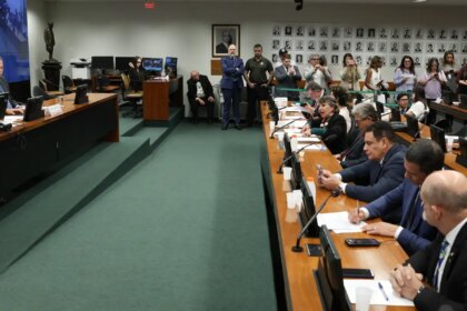 maioridade-penal:-relator-diz-que-proposta-combate-crime-organizado