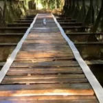 ponte-ferroviaria-historica-desaparece-em-prados-(mg)-e-e-achada-a-180-km