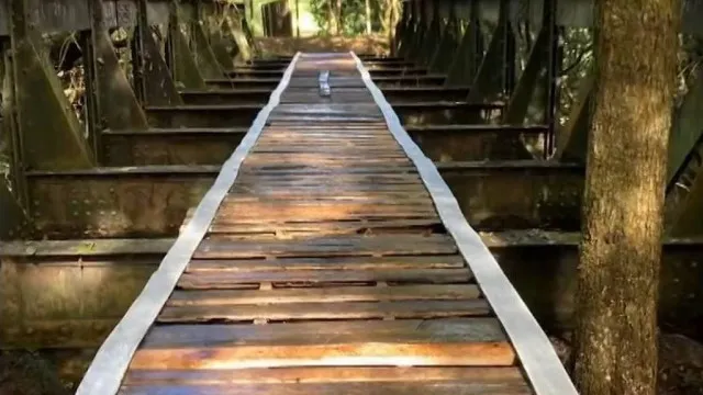 ponte-ferroviaria-historica-desaparece-em-prados-(mg)-e-e-achada-a-180-km