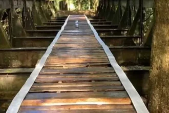 ponte-ferroviaria-historica-desaparece-em-prados-(mg)-e-e-achada-a-180-km