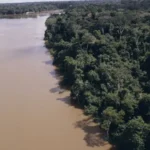desmatamento-na-amazonia-cai-61,4%-em-maio-de-2026