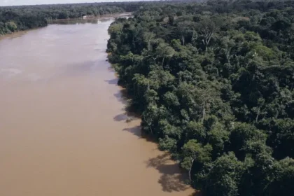 desmatamento-na-amazonia-cai-61,4%-em-maio-de-2026