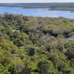 fundo-amazonia-quadruplica-ritmo-anual-de-aprovacoes-desde-2023