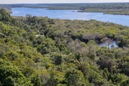 fundo-amazonia-quadruplica-ritmo-anual-de-aprovacoes-desde-2023