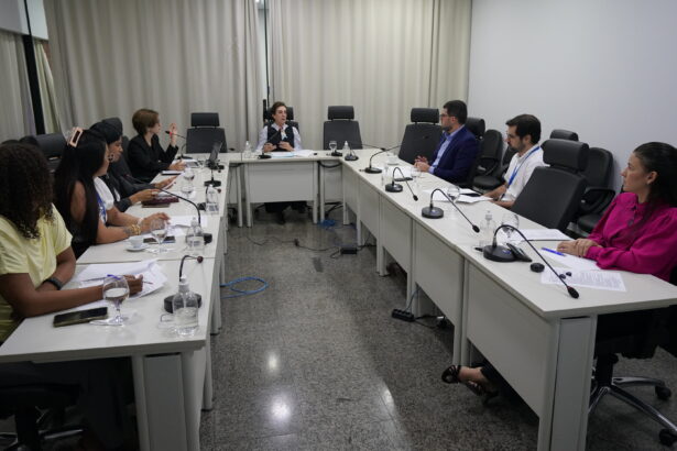 comissao-de-gestao-de-politicas-de-equidade-de-genero,-raca-e-diversidade-do-tjto-realiza-a-primeira-reuniao-do-ano