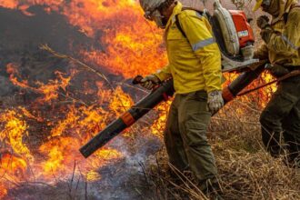 governo-repassa-r$-337-milhoes-para-combate-a-incendios-e-desmatamento