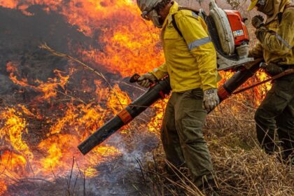 governo-repassa-r$-337-milhoes-para-combate-a-incendios-e-desmatamento