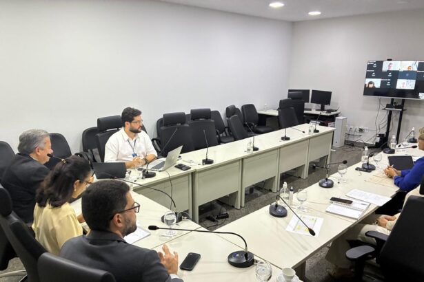 tjto-realiza-reuniao-de-alinhamento-do-eixo-produtividade-para-o-premio-cnj-de-qualidade-2026-e-2027