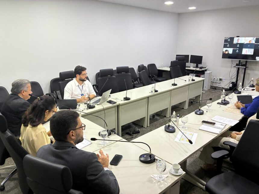 tjto-realiza-reuniao-de-alinhamento-do-eixo-produtividade-para-o-premio-cnj-de-qualidade-2026-e-2027