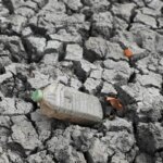 australia-afirma-que-el-nino-deve-ser-o-mais-forte-das-ultimas-decadas