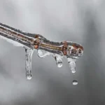 frio-persiste-com-risco-de-geada-no-sul-e-sudeste