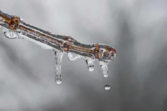 frio-persiste-com-risco-de-geada-no-sul-e-sudeste