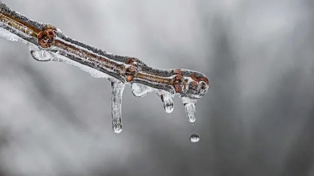 frio-persiste-com-risco-de-geada-no-sul-e-sudeste