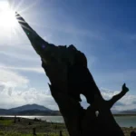 el-nino-mais-forte-requer-operacao-especial-para-setor-eletrico,-afirma-ons