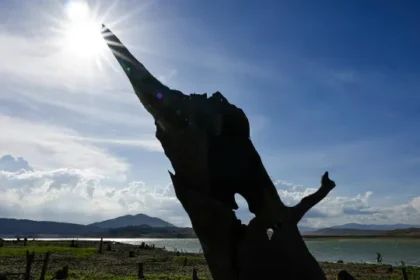 el-nino-mais-forte-requer-operacao-especial-para-setor-eletrico,-afirma-ons