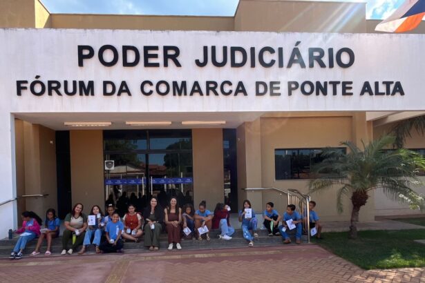 junho-ambiental:-comarcas-promovem-acoes-sustentaveis-e-mobilizam-comunidades-em-todo-o-estado
