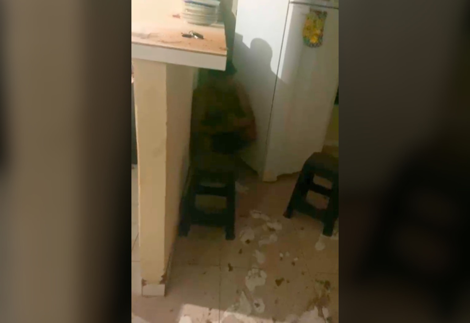 :-moradora-relata-panico-apos-homem-invadir-casa-pelo-forro-para-fugir-de-suposta-ameaca