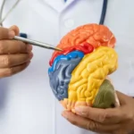 neurologistas-alertam:-5-habitos-comuns-que-afetam-a-saude-do-cerebro