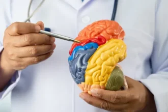 neurologistas-alertam:-5-habitos-comuns-que-afetam-a-saude-do-cerebro
