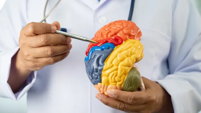 neurologistas-alertam:-5-habitos-comuns-que-afetam-a-saude-do-cerebro