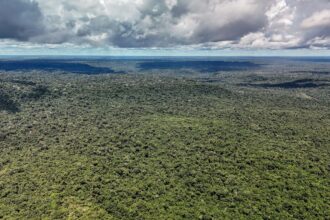 adversaria-em-campo,-noruega-e-parceira-de-acoes-ambientais-do-brasil