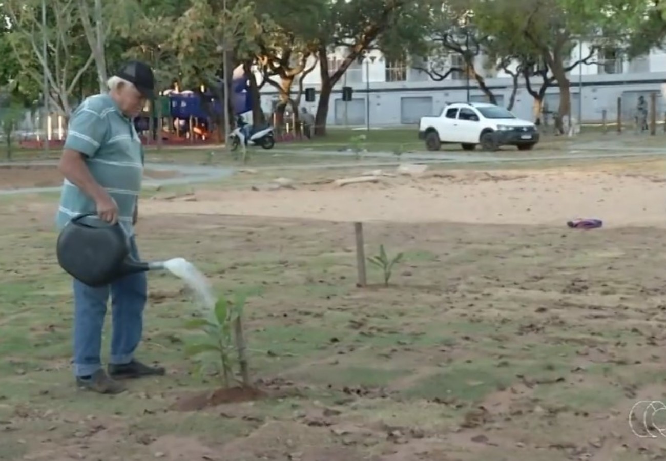 conheca-o-aposentado-que-ha-oito-anos-transforma-praca-de-palmas-com-arvores-frutiferas;