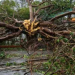 china-aguarda-chegada-de-tufao-enquanto-ainda-resgata-vitimas-da-ultima-tempestade