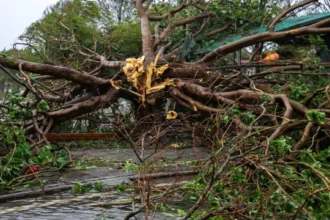china-aguarda-chegada-de-tufao-enquanto-ainda-resgata-vitimas-da-ultima-tempestade