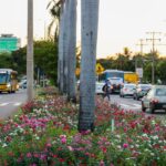 palmas-esta-entre-as-cidades-que-mais-geram-empregos-em-logistica,-inovacao-e-construcao-civil-no-brasil