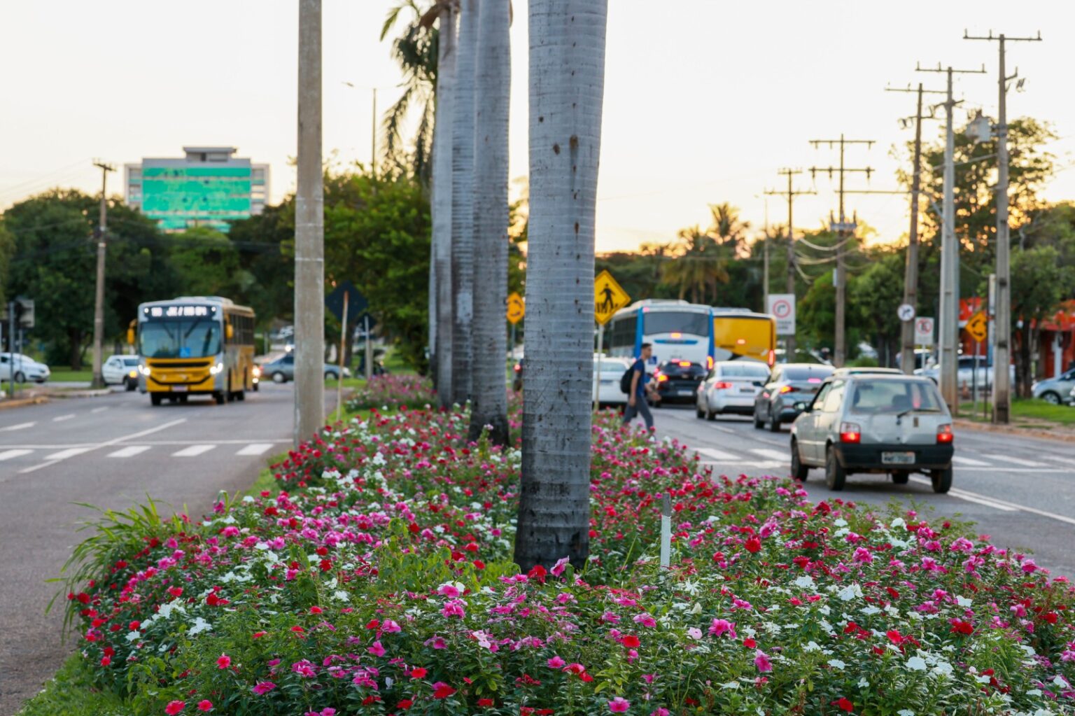 palmas-esta-entre-as-cidades-que-mais-geram-empregos-em-logistica,-inovacao-e-construcao-civil-no-brasil