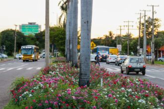 palmas-esta-entre-as-cidades-que-mais-geram-empregos-em-logistica,-inovacao-e-construcao-civil-no-brasil