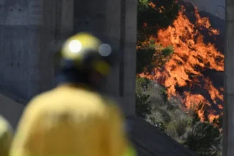 europa-enfrenta-nova-onda-de-calor,-incendios-e-alta-nos-alimentos