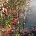 incendio-florestal-mobiliza-defesa-civil-em-taquarucu-que-alerta-para-cuidados-durante-periodo-de-estiagem