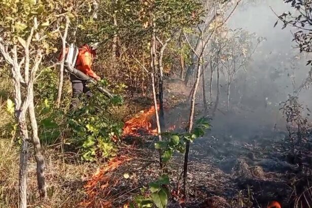 incendio-florestal-mobiliza-defesa-civil-em-taquarucu-que-alerta-para-cuidados-durante-periodo-de-estiagem
