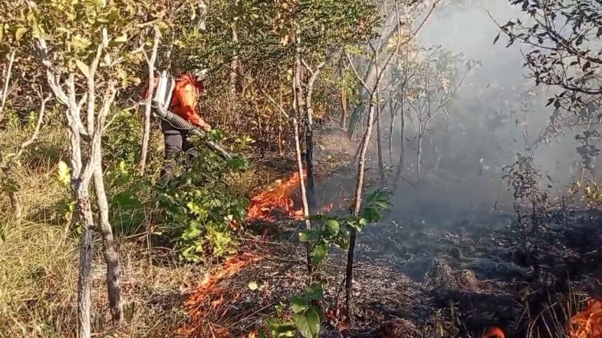 incendio-florestal-mobiliza-defesa-civil-em-taquarucu-que-alerta-para-cuidados-durante-periodo-de-estiagem
