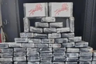 aviao-com-dois-corpos-e-carga-de-cocaina-e-encontrado-caido-em-mt