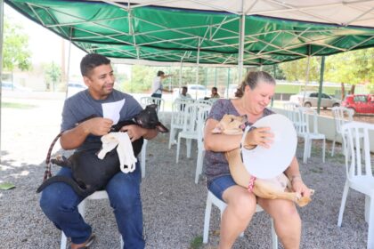 mutirao-de-castracao-inicia-nova-etapa-visando-cinco-mil-procedimentos-gratuitos-ate-final-do-ano
