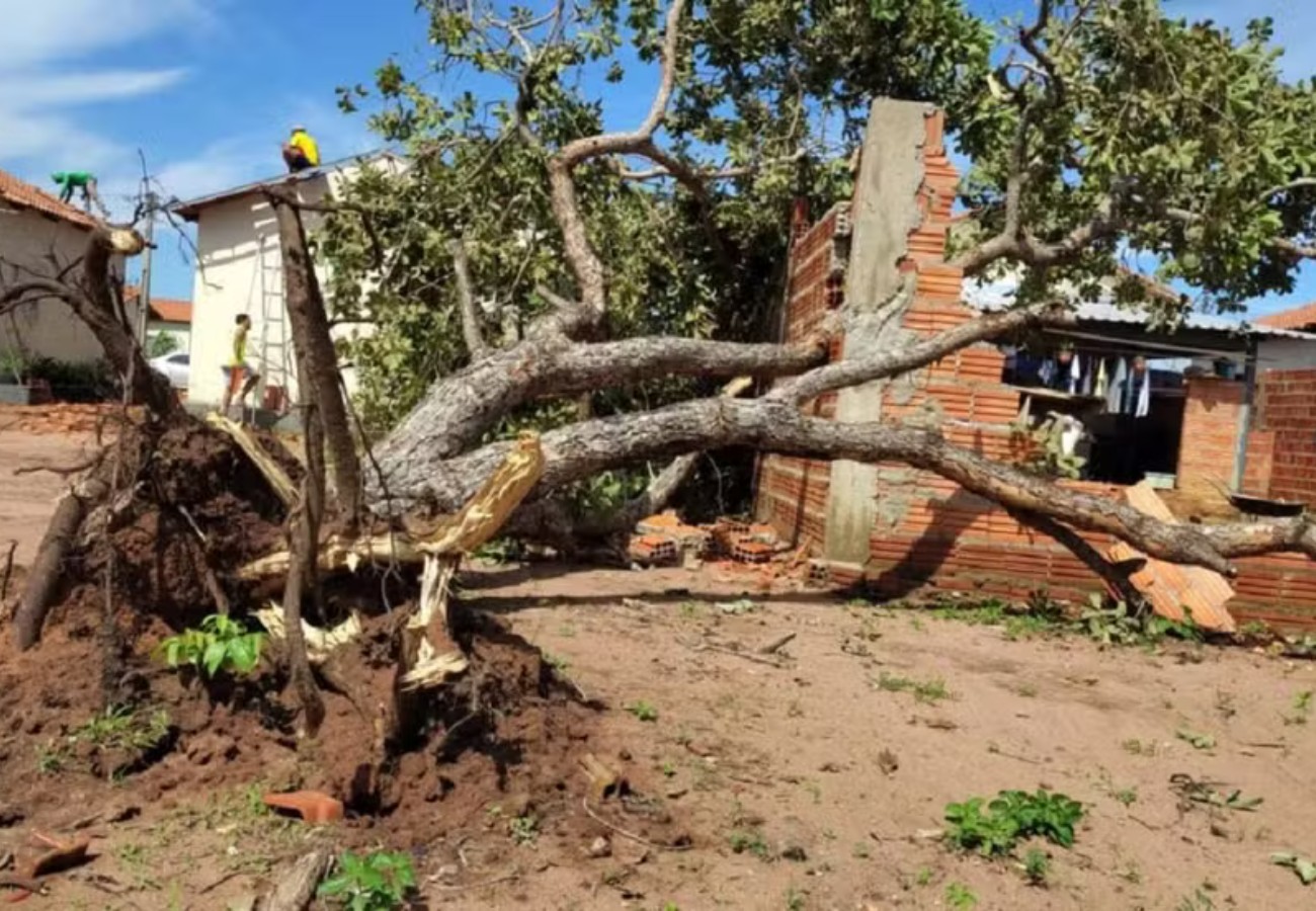 apos-sete-meses,-prefeitura-faz-contrato-emergencial-sem-licitacao-para-recuperar-casas-atingidas-por-temporal-em-palmas