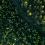 como-e-o-projeto,-aprovado-no-congresso,-que-reduz-em-37%-protecao-de-floresta-na-amazonia