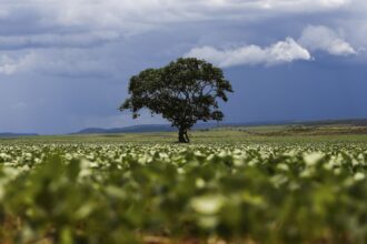 credito-rural-financiou-r$-92,4-bi-em-areas-com-alertas-ambientais