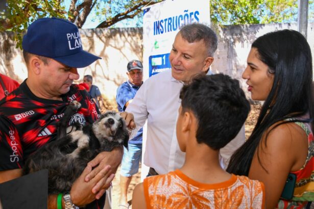 prefeitura-oferece-6,5-mil-vagas-para-castracao-gratuita-em-nova-etapa-do-programa-animal-de-rua-zero