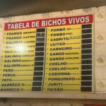 venda-de-pombos-em-loja-de-duque-de-caxias-e-reprimida-pela-pm