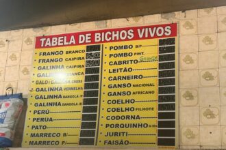 venda-de-pombos-em-loja-de-duque-de-caxias-e-reprimida-pela-pm