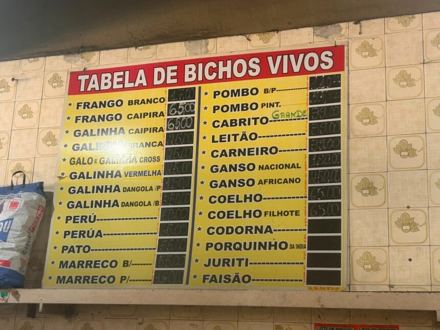 venda-de-pombos-em-loja-de-duque-de-caxias-e-reprimida-pela-pm