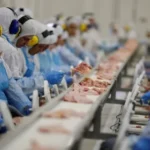 abpa-preve-alta-na-producao-de-carnes-e-ovos-ate-2027