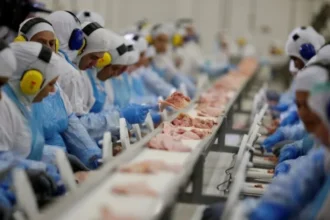abpa-preve-alta-na-producao-de-carnes-e-ovos-ate-2027