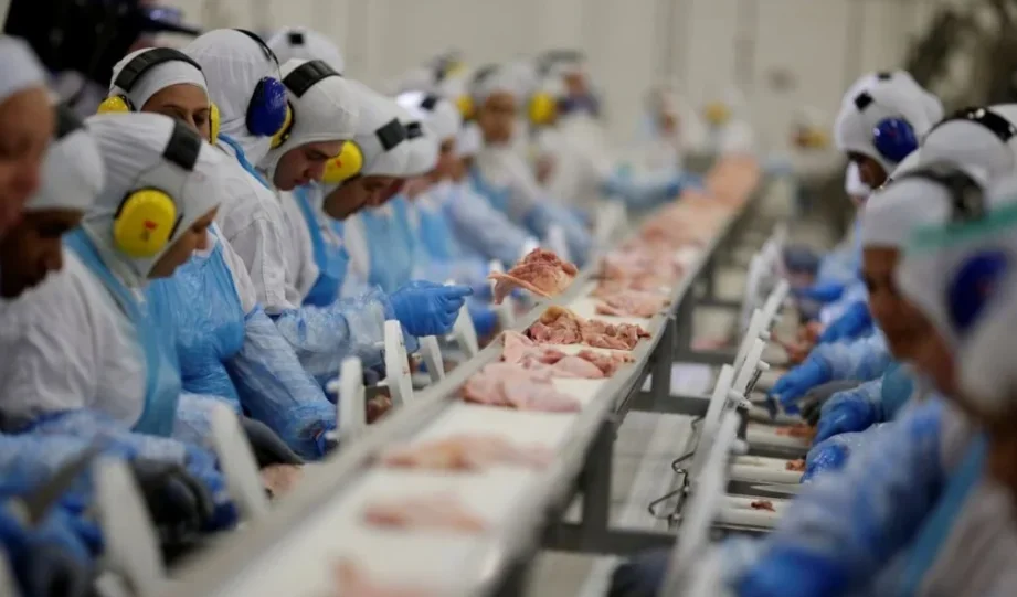 abpa-preve-alta-na-producao-de-carnes-e-ovos-ate-2027